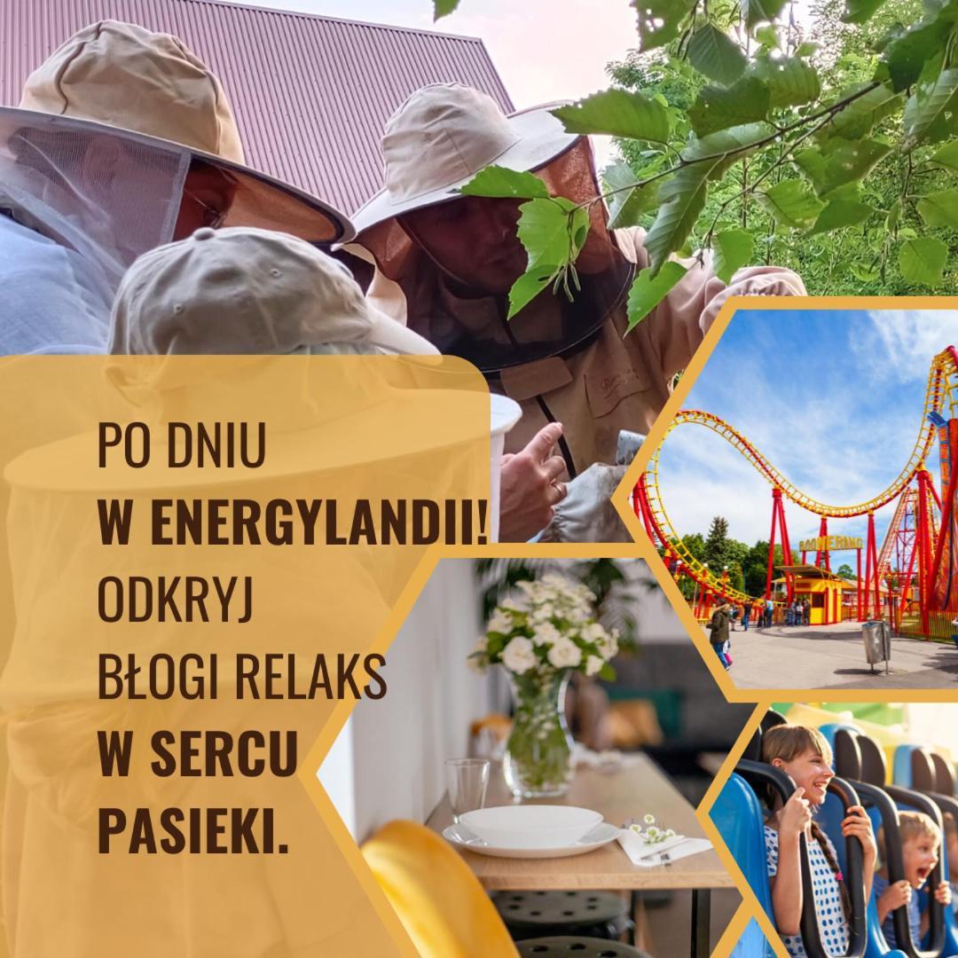 Miodowa Zagroda - Nocleg Zator Energylandia Miejsce Buitenkant foto